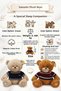 Sweatered Plush Bear |   0+ Years Old |   42 cm |   Sleeping Companion and Emotional Confidence - 3