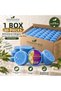 Internatural Collagen Sponge Herbal Bath Soap 80-Pack Box (80 X 120 g)