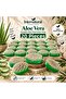 Internatural Aloe Vera Pumpkin Fiber Herbal Soap 20 Pack (20 X 110 g)
