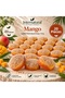 Internatural Mango Pumpkin Fiber Herbal Soap 20 Pack (20 X 110 g)
