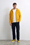 Men's Zippered Hooded Sweatshirt with Fleece Inside