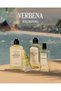 Verbena Hand Cream, Verbena Extract Moisturizer, 75 ml - 7