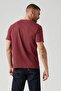 Men's Burgundy Basic T-Shirt - Cotton Pack - 008Bt-0002 - 2