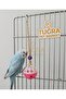 Bird Play Ball with Bell Bird Toy