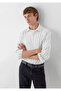 Striped Shirt Regular Fit / Normal Cut 0212095-91694 - 2
