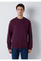 Bisiklet Yaka Mor Basic Sweatshirt 0S10457-70434 - 3