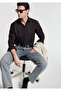 Brown Shirt Regular Fit / Normal Cut 0212063-70219