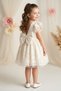 Baby Girl Dress Girls' Dress Birthday Party Wedding Dress Lace Short Sleeve Lined Dress - 3