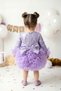 Baby Girl Dress Girls' Dress Birthday Party Wedding Tutu Tulle Long Sleeve Lined Dress - 4