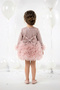 Baby Girl Dress Girls' Dress Birthday Party Wedding Tutu Tulle Long Sleeve Lined Dress - 2