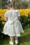 Baby Girl Dress Girls' Dress Birthday Party Wedding Dress Lace Short Sleeve Lined Dress - 6
