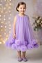 Baby Girl Dress Girls' Dress Birthday Party Wedding Dress Crowned Sleeveless Lined Dress - 4