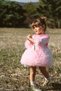 Baby Girl Birthday Party Wedding Dress Tulle Tutu Lined Children's Clothing Baby Clothing - 5