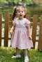 Baby Girl Dress Girls' Dress Birthday Party Wedding Dress Lace Short Sleeve Lined Dress