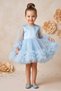Baby Girl Dress Girls' Dress Birthday Party Wedding Tutu Tulle Long Sleeve Lined Dress - 2
