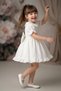 Baby Girl Dress Girls' Dress Birthday Party Wedding Dress Lace Short Sleeve Lined Dress - 5