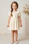 Baby Girl Dress Girls' Dress Birthday Party Wedding Dress Lace Short Sleeve Lined Dress - 3
