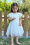 Baby Girl Dress Girls' Dress Birthday Party Wedding Dress Lace Short Sleeve Lined Dress - 4