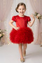 Baby Girl Children's Birthday Party Wedding Dress Tulle Tutu Lined Children's Clothing Baby Clothing Baby Girl E