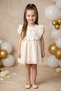 Baby Girl Dress Girls' Dress Birthday Party Wedding Dress Lace Short Sleeve Lined Dress - 4