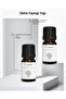 Bay Leaf Oil 10 ml 100% Natural Pure - 2