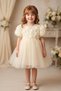 Baby Girl Girl Child Birthday Party Wedding Dress Balloon Rose Bow Tulle Tutu Lined - 9
