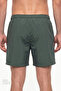Men's Kır Yeşil Basic Dark Green Swim Shorts - 2