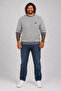 Large Size Men's Crew Neck Sweatshirt 22715 Anthracite - 2