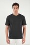 Regular Fit Crew Neck t Shirt Men's t Shirt 5904028 - 2