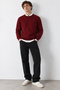 Sento Claret Red Crew Neck 100% Cotton Embroidered Standard Fit Men's Knitwear - 2