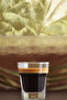 Aras Glass Liquor Glasses Set of 6 45 ml (Shot/Shot Glass) - 3