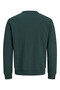 Jack Jones Aero Regular Fit Crew Neck Men's Sweat 12298492 - 6