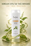 Aura Botanica Nettle Extract Shampoo 360 ml - 2