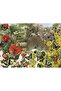 Anatolian 1000 Piece Peacock Puzzle in the Garden - Barbara Behr - 2
