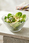 Artemis Glass Salad Bowl Single Extra Large 2150 ml (Presentation Bowl, Preparation Bowl)