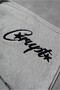 Gri Crupt Signature Erkek Şort - 2