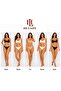 Women's Panties 5 Pack Black-White-Ten Color Soft Stretchy Bikini Mold - 2