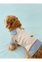 Cat-Dog Seasonal - Winter Knitwear Sweater Shirt - Sweatshirt - Coat - Raincoat - Clothing - 7