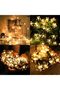 Ryane Solar Outdoor Solar Powered String Light 50 Led Waterproof Auto On/Off, Bulbs - 5