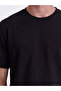 Timeless Clothing & Timeless Choices Zero Roba Collar Men's T-Shirt 2-Pack - 3