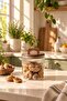 Acacia Lid Borosilicate Glass Jar – Striped Transparent Kitchen Storage Jar with Wooden Handle