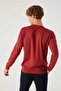Regular Fit Pomegranate Flower Non-Pilling Crew Neck Knitwear Sweater - 4