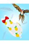 Bird Diaper with 78 Inch Flying Leash - 2 Pack, Reusable Flight Suit with Waterproof Inner Layer, Wa - 2