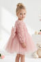 Baby Girl Child 3D Rose Long Sleeve Tulle Bow Birthday Party Special Occasion Cotton Evening Dress 6-9 Months 5 Years - 8