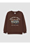 Two Mt Shop Quality Lcw Kids Brown 3 Thread Raster Printed Standard & Regular Boys Sweater - 5