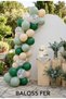 Botanical Garden 20-Piece Birthday and Baby Shower Balloon Set – Balloon Arch, Garden Party and Organization Decoration 11 Inches - 2
