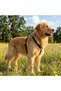 Genuine Leather Black Dog Harness, Durable Luxury Pet Vest - 3