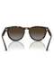 Rayban 2237 710/t5 51 Women's Sunglasses - 3