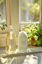 Wild Mint Liquid Hand Soap - 500 ml - 4