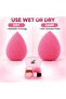 TRIO Makeup Sponge and Brush Set with Storage Box, 4-Piece Beauty Blender Kit for Foundation, Concealer and Blending, Pink - 6